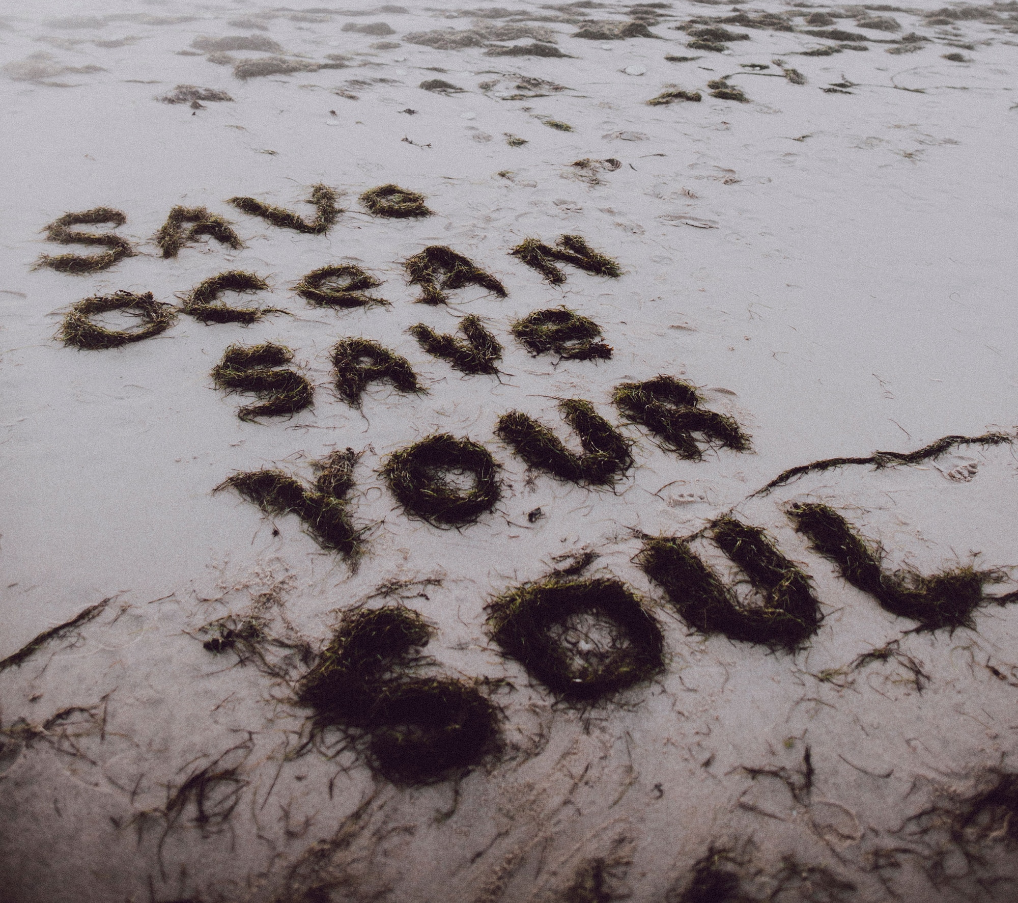 Une Vague d'Influences Culturelles et Écologiques