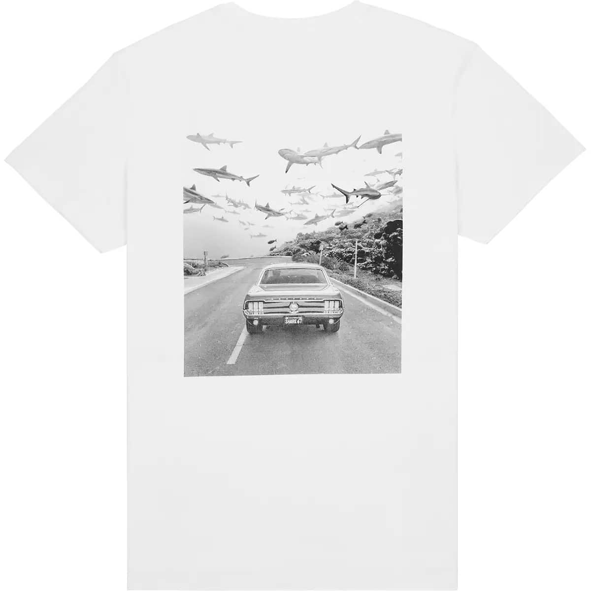 TEE SHARK - galerie