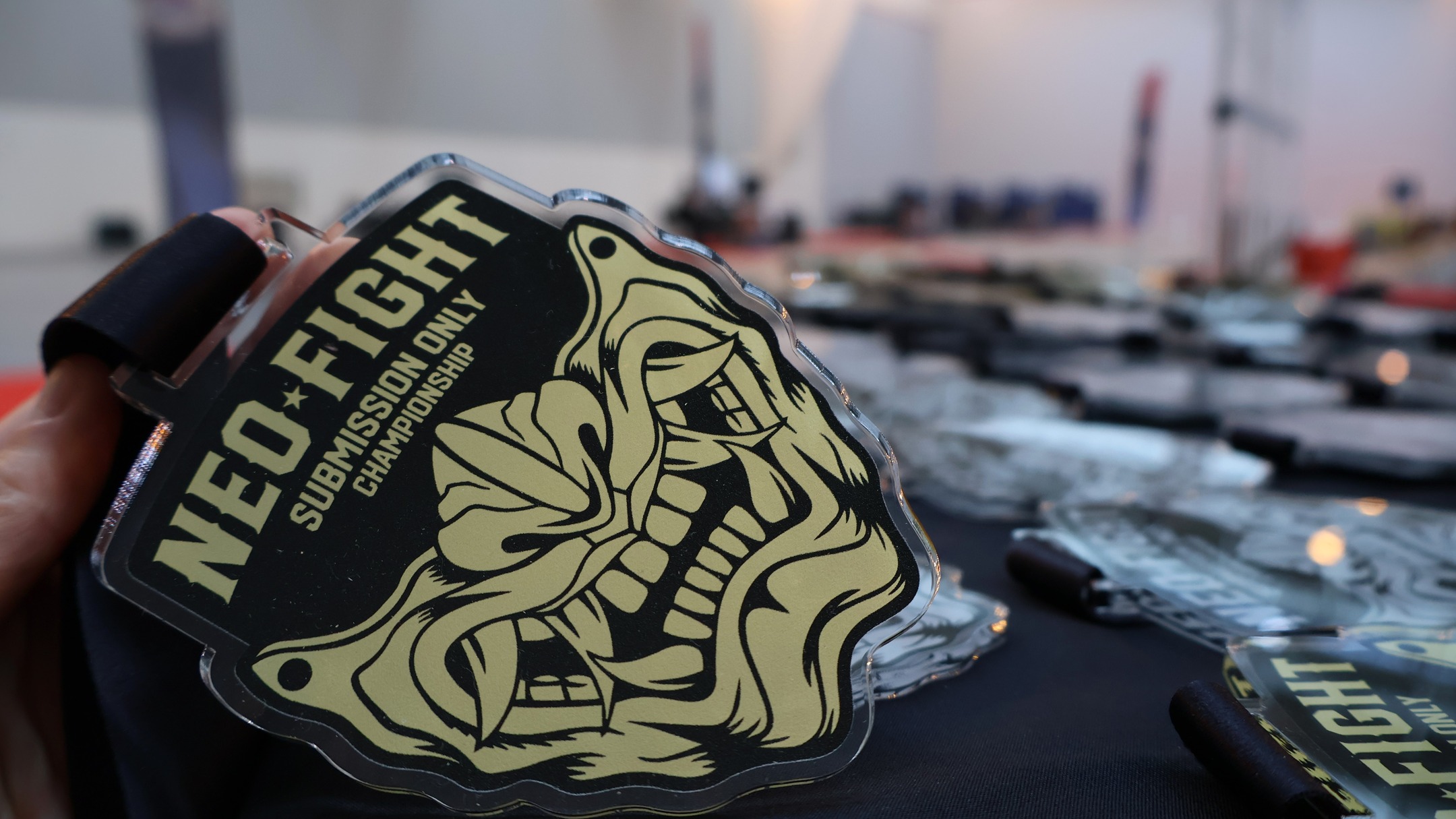 Ticket VIP Neofight - galerie