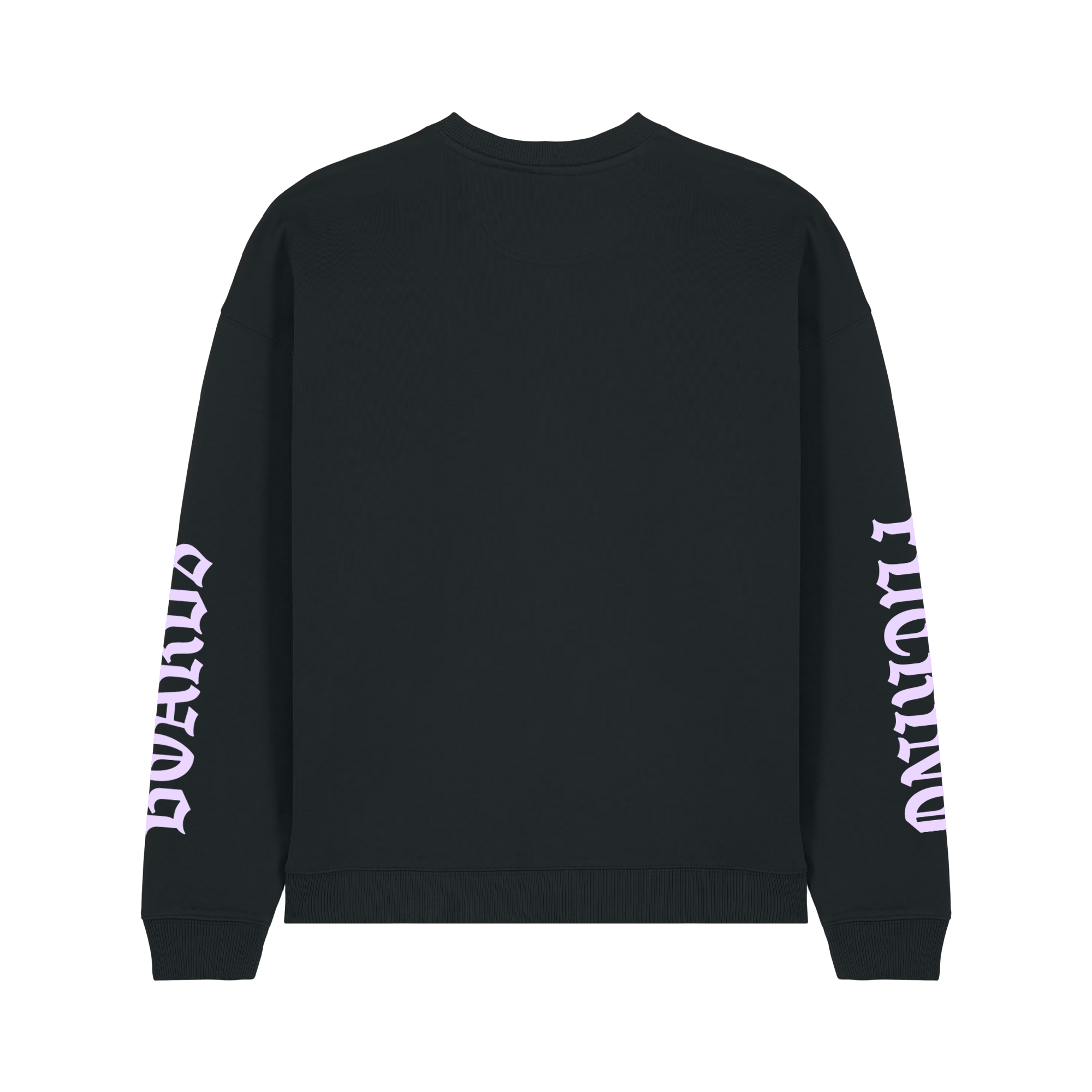 Cardinal - T-shirt manches longues - Crewneck - galerie